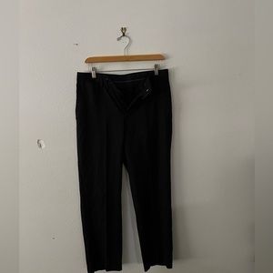 Louis Raphael Pants Size 30x30